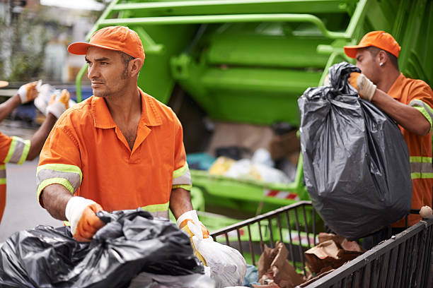 Best Recycling Services for Junk  in Bridgman, MI